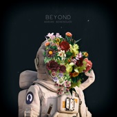 Beyond artwork