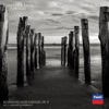 Romances sans paroles, Op. 17: No. 3, Andante moderato - Single