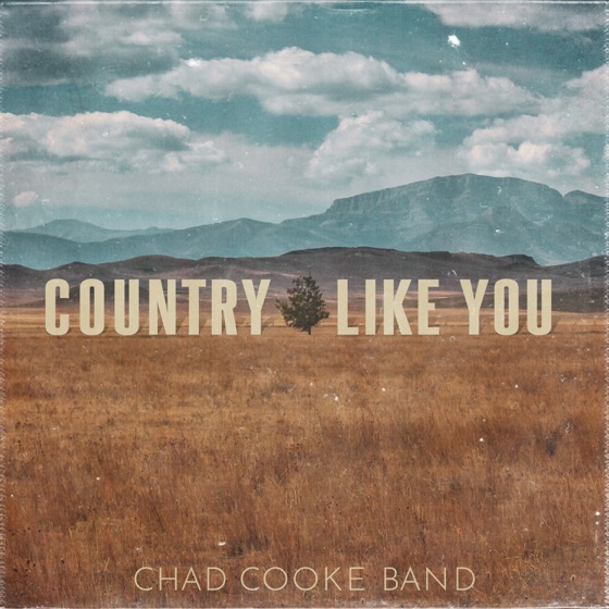 Cover artwork for Country Like You