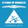 Remember David