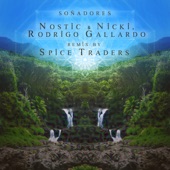 Soñadores (feat. Rodrigo Gallardo) [Spice Traders Remix] artwork