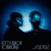 I Saw An Angel On The Roof & Wept (Kitty Amor 's Remix) artwork