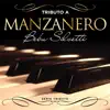 Stream & download Serie Tributo: Tributo a Manzanero