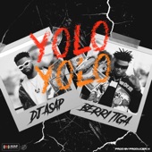 Yolo artwork