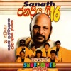 Sanath Nandasiri with Sunflower Vol. 1