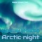 Arctic Night - Kostik Makso lyrics