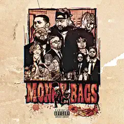 Money Bags by Aroomfullofmirrors album reviews, ratings, credits