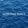 Wishing Well - Single