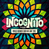 Could Heaven Ever Be Like This (feat. Bluey) - Incognito