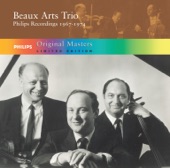 Piano Trio No. 3 in G Minor, Op. 110: I. Bewegt, Doch Nicht Zu Rasch artwork