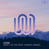 Won't Let Go (feat. johnny joined) artwork