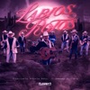 Labios Rotos - Single