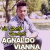 Vai Sentir Saudade - Single