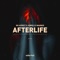 Afterlife (Extended) artwork