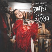 Boujee On A Budget artwork