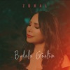 Budala Gönlüm - Single