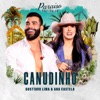 Gusttavo Lima - Canudinho (Ao Vivo)