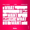 What U Want - Single