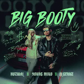 Big Booty by Hozwal, Young Miko & Lil Geniuz song reviws