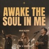 Awake the Soul in Me - Single