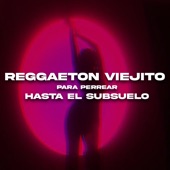 Reggaeton Viejito para Perrear Hasta el Subsuelo (Remix) artwork