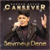 Sevmeyi Dene - Single