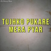 Tujhko Pukare Mera Pyar artwork