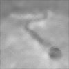 Ancestor - Single