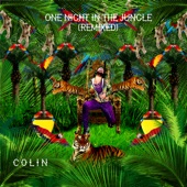 One Night In the Jungle (House Remix) artwork