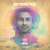 Nickodemus - No Puedo Parar (feat. Troy Simms & Jungle Fire Horns)