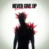 Never Give Up song lyrics