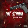 The Storm (feat. DJ Drama) - Single album lyrics, reviews, download