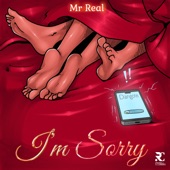 I'm Sorry artwork