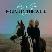Found In The Wild (Remixed) artwork