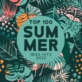 Top 100 Summer Ibiza Hits 2023 artwork