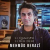 Li Qamişlo Li Ber Derî - Single