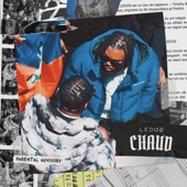 Chaud – Nouvelle école artwork