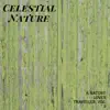 Celestial Nature - A Nature Lover Traveller, Vol. 9 album lyrics, reviews, download