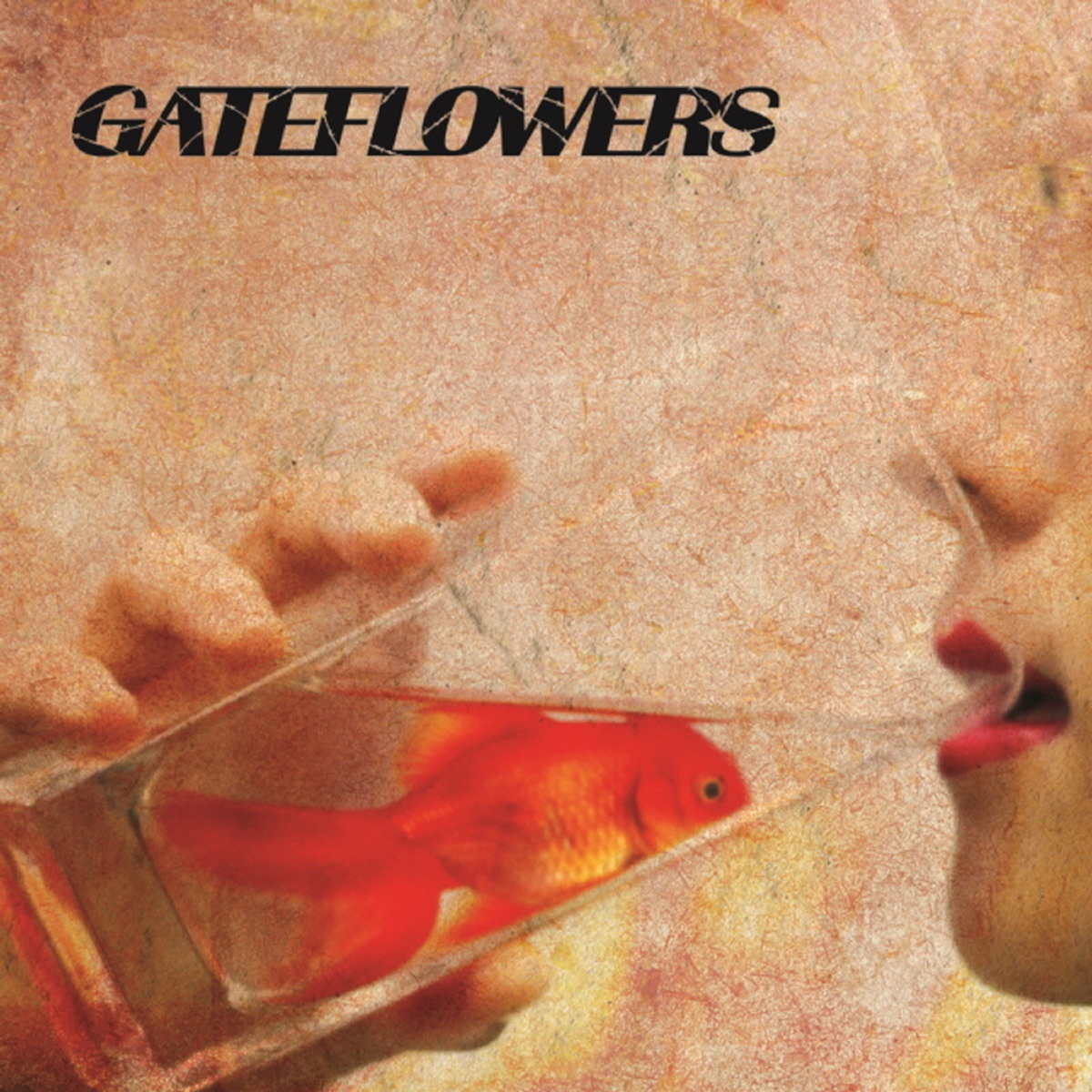 Gate Flowers – Gate Flowers