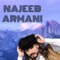 Bal Watan k misofar ya Pashto - Najeeb Armani lyrics