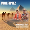 Manchmal hilft nur Träumen - Single