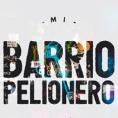 Mi Barrio Pelionero artwork