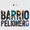 Mi Barrio Pelionero artwork