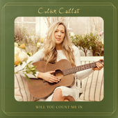Will You Count Me In - Colbie Caillat song art