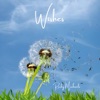 Wishes