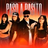 Paso A Pasito - Single