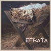 Efrata - Single