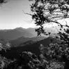 Cévennes National Park album lyrics, reviews, download