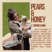 Sophia Eliana - Folk Diss Track