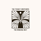 The Teskey Brothers - Blind Without You